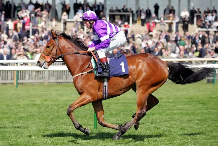 Framed Print : Nikindi Ridden By John Egan Newmarket Craven Meeting 2007 Rowley Mile Course Framed Print : Nikindi Ridden By John Egan Newmarket Craven Meeting 2007 Rowley Mile Course