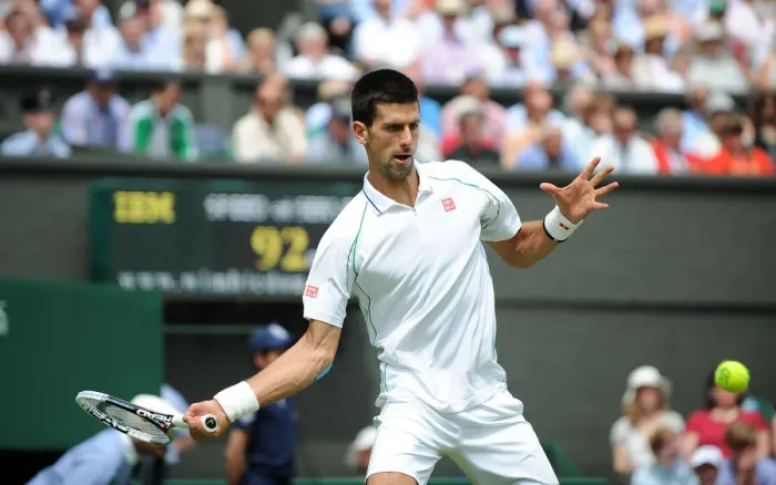 Framed Print : Novak Djokovic Framed Print : Novak Djokovic