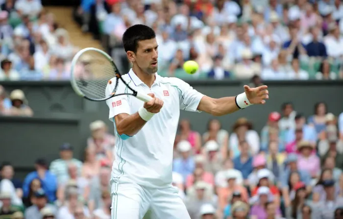 Framed Print : Novak Djokovic Framed Print : Novak Djokovic
