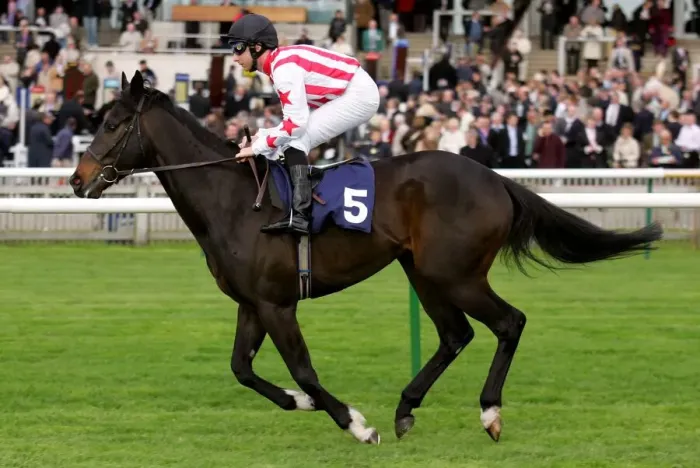 Framed Print : Obe Brave Ridden By A.Culhane Craven Meeting, Newmarket Rowley Mile Course Framed Print : Obe Brave Ridden By A.Culhane Craven Meeting, Newmarket Rowley Mile Course