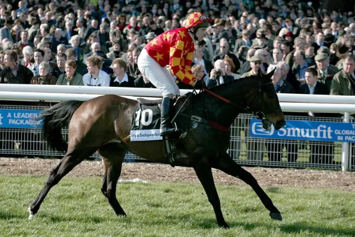 Framed Print : Palua Ridden By B.Fenton Cheltenham Festival 2004 Cheltenham Racecourse
