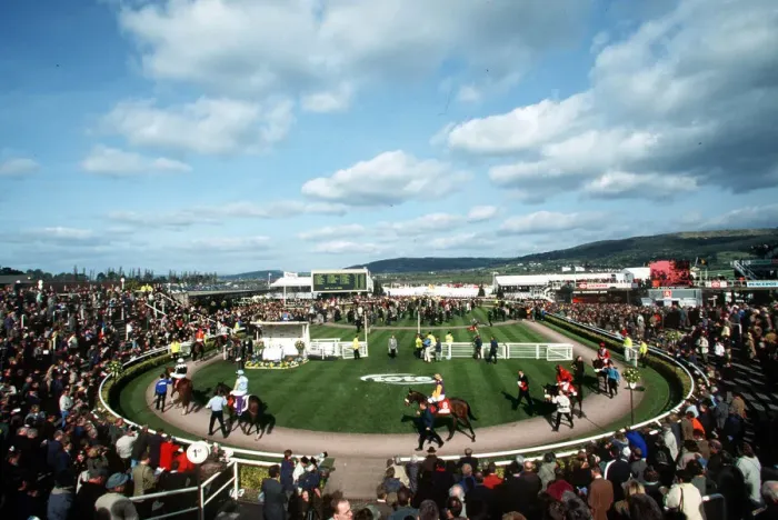 Framed Print : Parade Ring Framed Print : Parade Ring