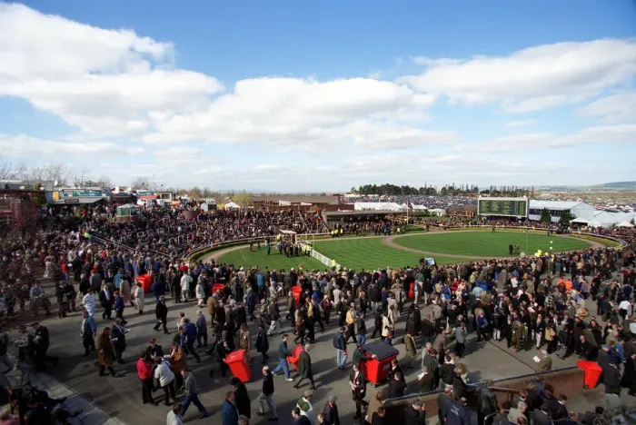 Framed Print : Parade Ring Cheltenham Framed Print : Parade Ring Cheltenham