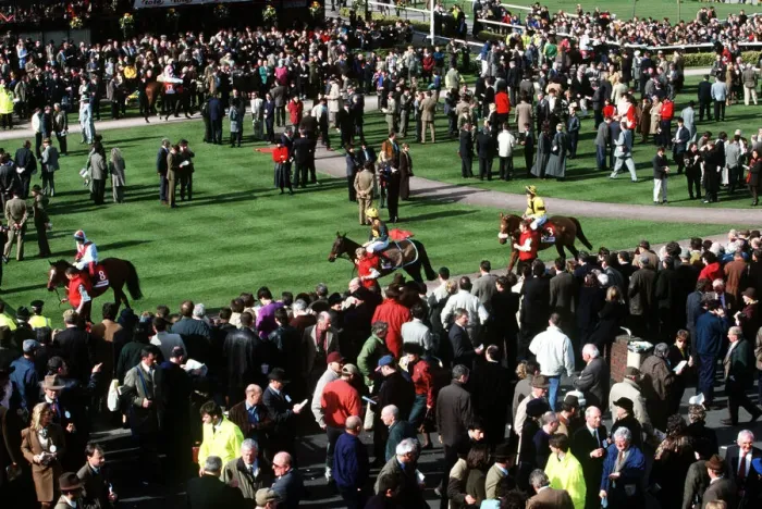 Framed Print : Parade Ring Cheltenham