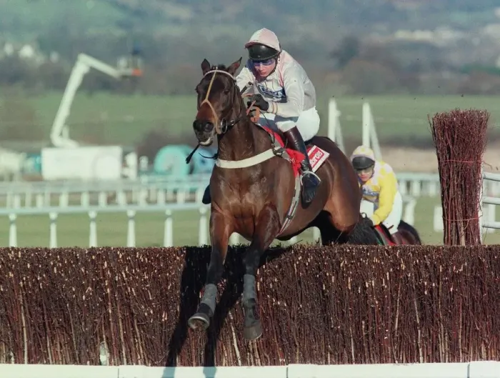 Framed Print : Pashto Ridden By J.Osborne 11 February 1997 Date: 11 February 1997 Framed Print : Pashto Ridden By J.Osborne 11 February 1997 Date: 11 February 1997