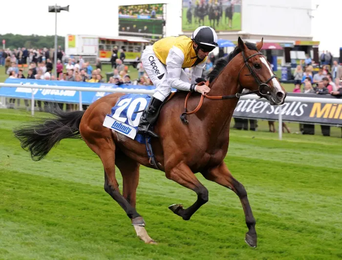 Framed Print : Pecan Star Ridden By Neil Callan