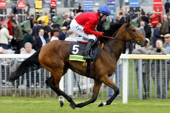 Framed Print : Portal Ridden By Jamie Spencer The May Festival York The Knavesmire Framed Print : Portal Ridden By Jamie Spencer The May Festival York The Knavesmire