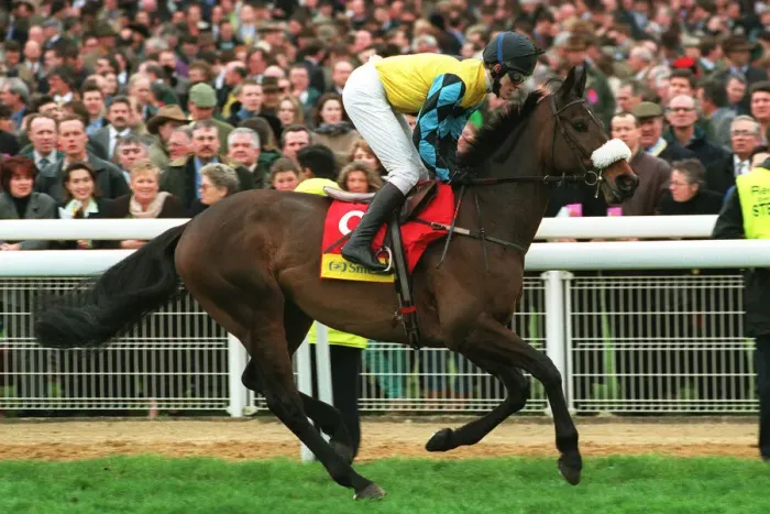 Framed Print : Pridwell Ridden By Tony Mccoy 24 March 1998 Date: 24 March 1998 Framed Print : Pridwell Ridden By Tony Mccoy 24 March 1998 Date: 24 March 1998