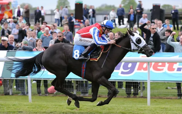 Framed Print : Primo Lady Ridden By David Probert Framed Print : Primo Lady Ridden By David Probert