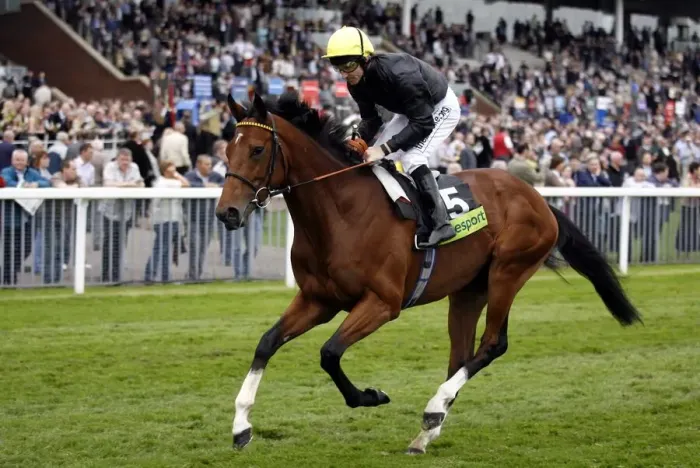 Framed Print : Proponent Ridden By Steve Drowne The May Festival York The Knavesmire Framed Print : Proponent Ridden By Steve Drowne The May Festival York The Knavesmire