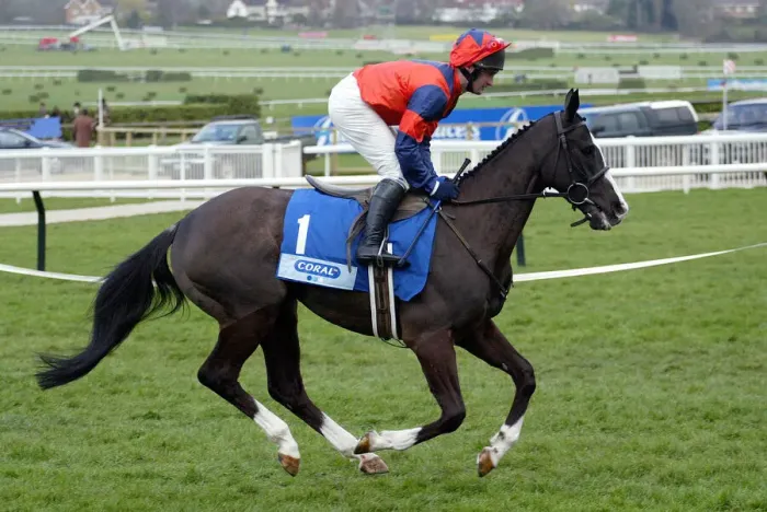 Framed Print : Quazar Ridden By R.Flavin Cheltenham Festival 2003 Cheltenham Racecourse