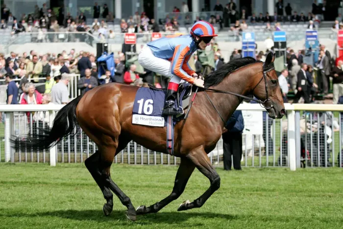 Framed Print : Us Ranger Ridden By J. Murtagh York May Festival 2008 York Racecorse Framed Print : Us Ranger Ridden By J. Murtagh York May Festival 2008 York Racecorse