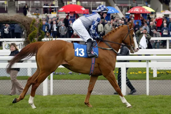 Framed Print : Rectangle Ridden By A.Nicholls Doncaster Lincoln Meeting Doncaster Framed Print : Rectangle Ridden By A.Nicholls Doncaster Lincoln Meeting Doncaster