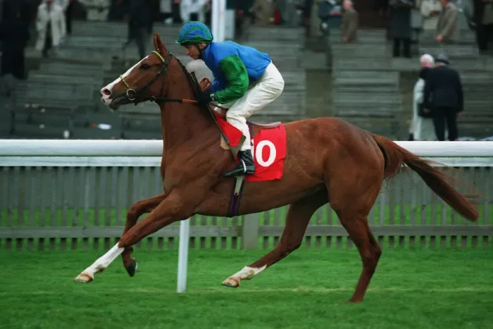 Framed Print : Red Rita Ridden By Richard Quinn 28 April 1994 Date: 28 April 1994 Framed Print : Red Rita Ridden By Richard Quinn 28 April 1994 Date: 28 April 1994