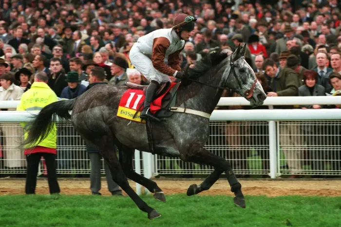 Framed Print : Relkeel Ridden By Adrian Maguire 24 March 1998 Date: 24 March 1998 Framed Print : Relkeel Ridden By Adrian Maguire 24 March 1998 Date: 24 March 1998