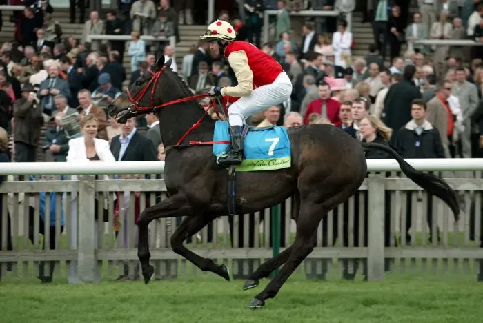 Framed Print : Repertory Ridden By T.G.Mclaughlin The Sagitta Guineas Festival 2 Newmarket Racecourse Framed Print : Repertory Ridden By T.G.Mclaughlin The Sagitta Guineas Festival 2 Newmarket Racecourse