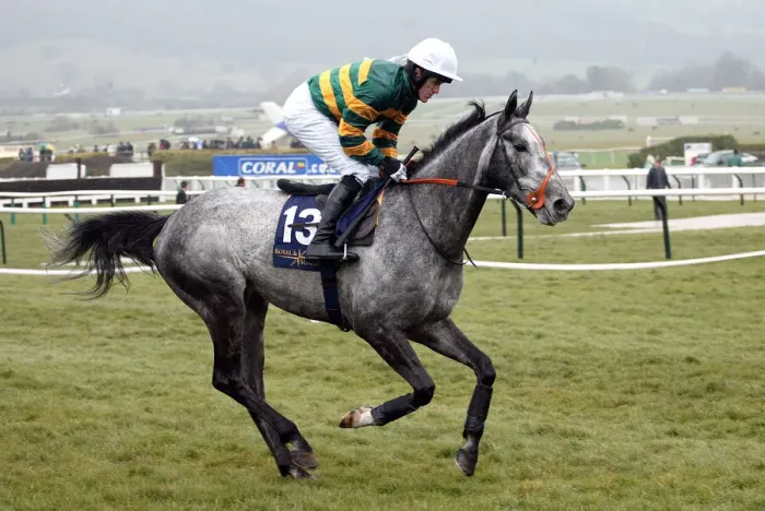 Framed Print : Reveillez Ridden By A.P.Mccoy Cheltenham Festival 2005 Cheltenham Racecourse