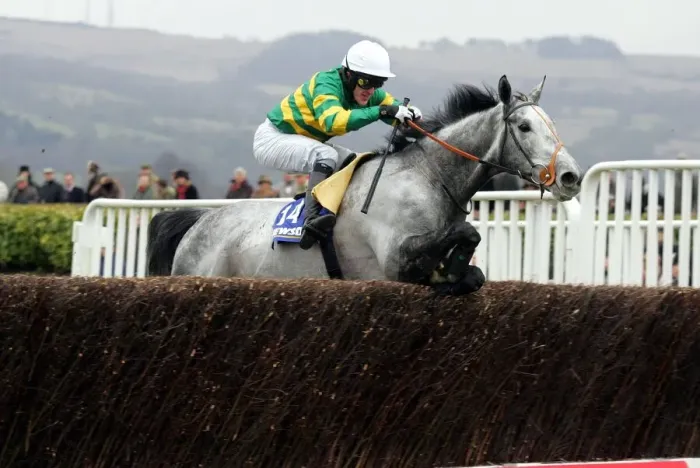 Framed Print : Reveillez The Jewson Novices Handicap Steeple Chase Cheltenham Festival