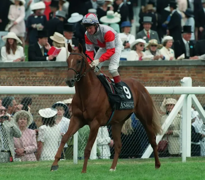 Framed Print : Roman Imp Ridden By M.Kinane 09 July 1996 Date: 09 July 1996 Framed Print : Roman Imp Ridden By M.Kinane 09 July 1996 Date: 09 July 1996