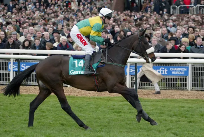 Framed Print : Rosaker Ridden By P.Carberry Cheltenham Festival 2003 Cheltenham Racecourse Framed Print : Rosaker Ridden By P.Carberry Cheltenham Festival 2003 Cheltenham Racecourse