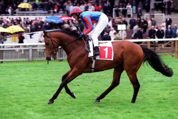 Framed Print : Rossini Ridden By M.J.Kinane 20 April 2000 Date: 20 April 2000