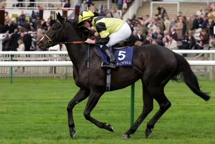 Framed Print : Saabiq Ridden By R.L.Moore Craven Meeting, Newmarket Rowley Mile Course Framed Print : Saabiq Ridden By R.L.Moore Craven Meeting, Newmarket Rowley Mile Course