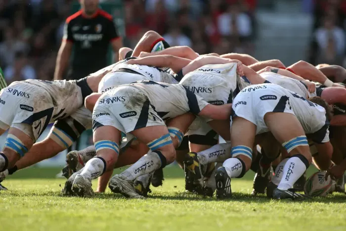 Framed Print : Sale Sharks Pack Framed Print : Sale Sharks Pack