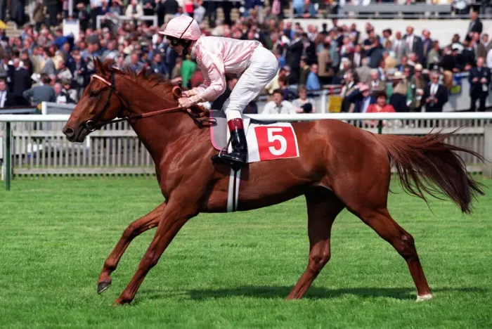 Framed Print : Sandmason Ridden By W.Ryan 05 May 2000 Date: 05 May 2000 Framed Print : Sandmason Ridden By W.Ryan 05 May 2000 Date: 05 May 2000