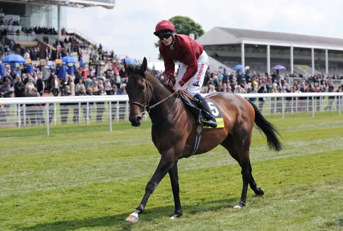 Framed Print : Sariska Ridden By Spencer Dante Festival, York Racecourse York Racecourse Framed Print : Sariska Ridden By Spencer Dante Festival, York Racecourse York Racecourse