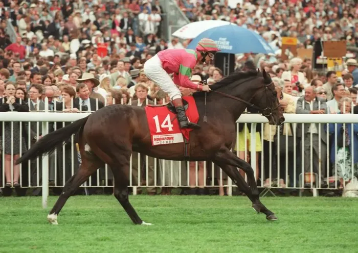 Framed Print : Shaamit Ridden By Michael Hills 12 June 1996 Date: 12 June 1996 Framed Print : Shaamit Ridden By Michael Hills 12 June 1996 Date: 12 June 1996