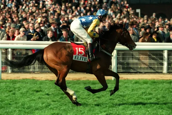 Framed Print : Shalaal Ridden By William Worthington 20 March 1998 Date: 20 March 1998 Framed Print : Shalaal Ridden By William Worthington 20 March 1998 Date: 20 March 1998