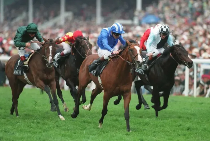 Framed Print : Shamikh Wins Chesham Stks Framed Print : Shamikh Wins Chesham Stks