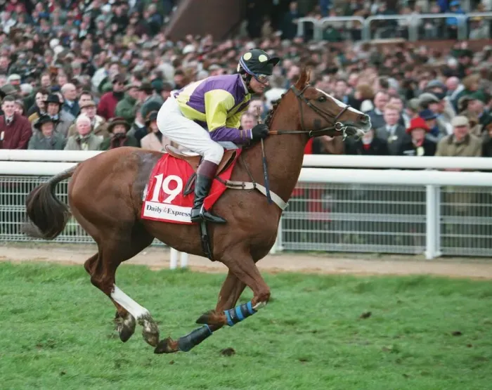 Framed Print : Shoofk Ridden By Richard Dunwoody 14 March 1995 Date: 14 March 1995 Framed Print : Shoofk Ridden By Richard Dunwoody 14 March 1995 Date: 14 March 1995