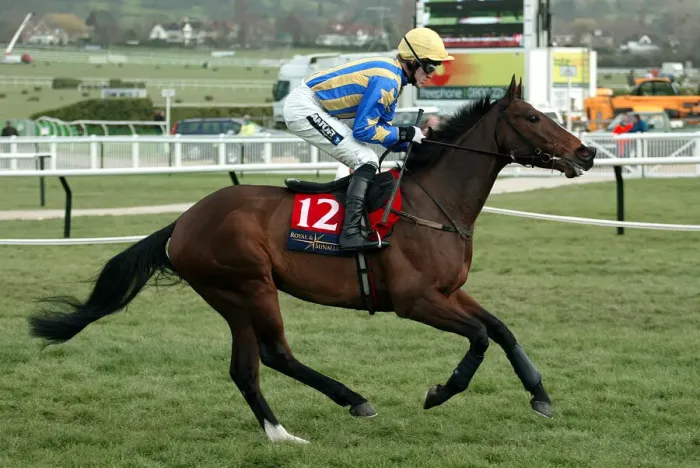 Framed Print : Sindapour Ridden By A.P.Mccoy Cheltenham Festival 2004 Cheltenham Racecourse Framed Print : Sindapour Ridden By A.P.Mccoy Cheltenham Festival 2004 Cheltenham Racecourse