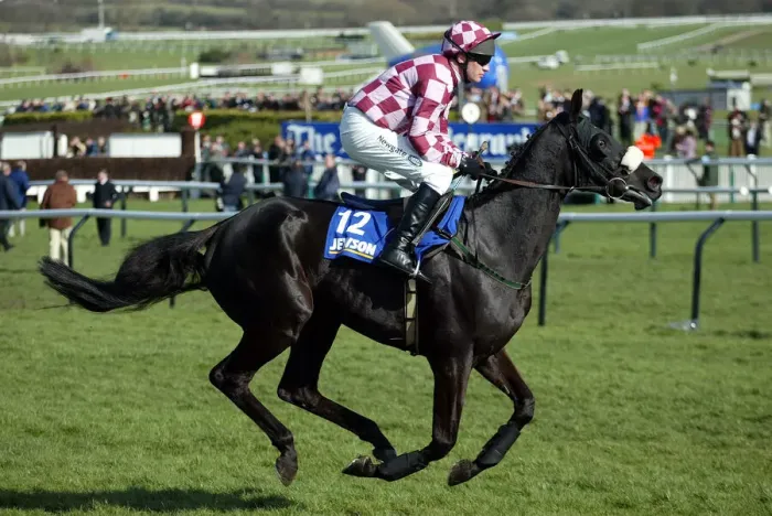 Framed Print : Sir Oj Ridden By P.Carberry Cheltenham Festival 2005 Cheltenham Racecourse
