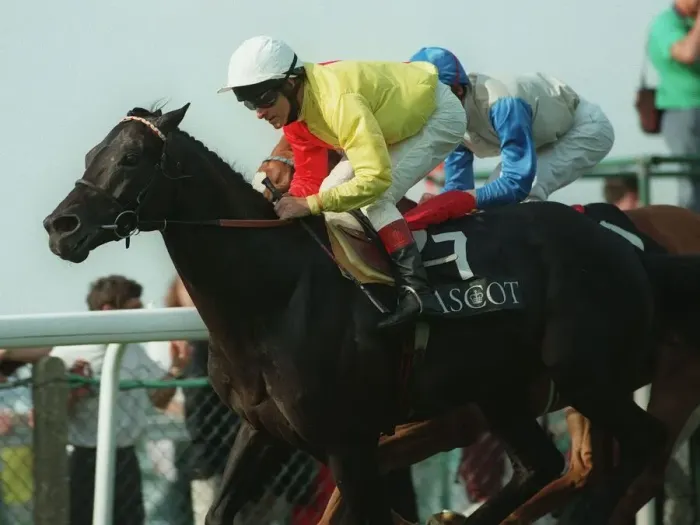 Framed Print : Son Of Sharp Shot (Pat Eddery) Framed Print : Son Of Sharp Shot (Pat Eddery)