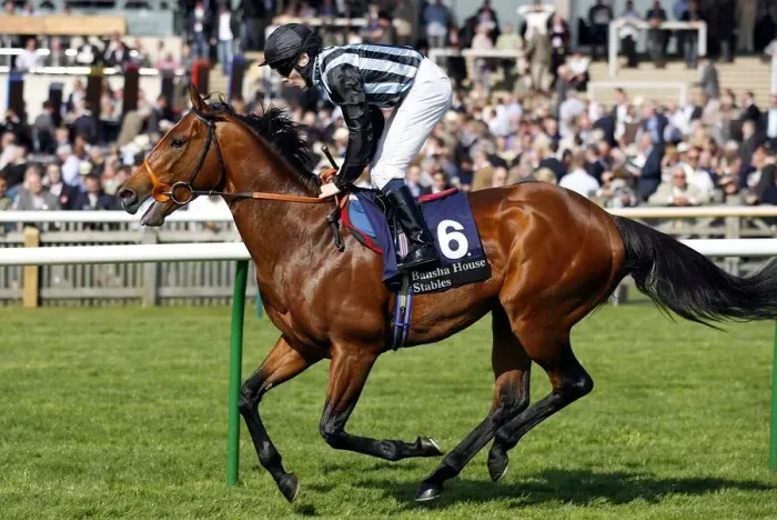 Framed Print : Sonny Red Ridden By Jamie Spencer Newmarket Craven Meeting 2007 Rowley Mile Course Framed Print : Sonny Red Ridden By Jamie Spencer Newmarket Craven Meeting 2007 Rowley Mile Course