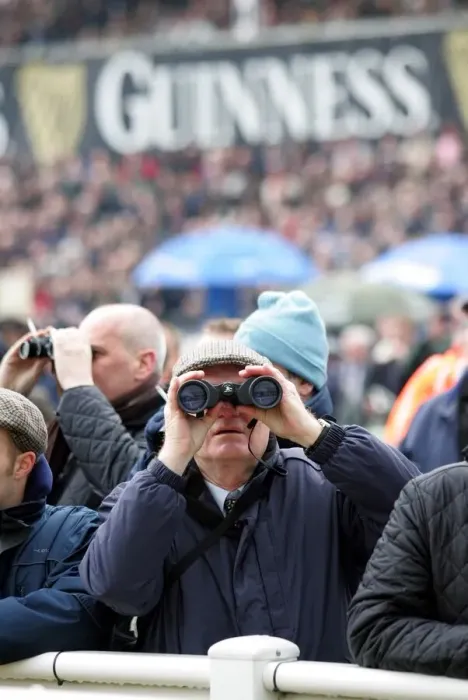 Framed Print : Spectator At The Races