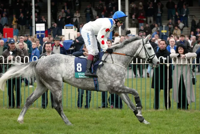 Framed Print : Sporazene Ridden By M.A.Fitzgerald Wetherby Races Wetherby Racecoarse Framed Print : Sporazene Ridden By M.A.Fitzgerald Wetherby Races Wetherby Racecoarse