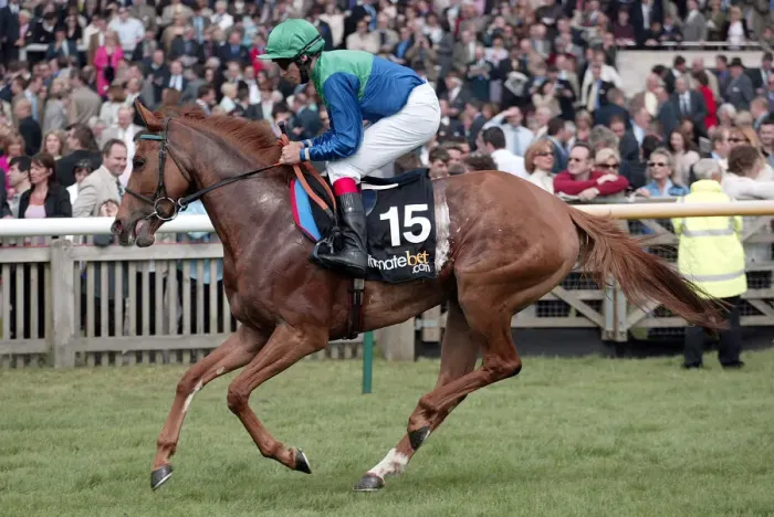 Framed Print : Spotlight Ridden By E.Ahern Newmarket Guineas Festival 04 Newmarket Racecourse Framed Print : Spotlight Ridden By E.Ahern Newmarket Guineas Festival 04 Newmarket Racecourse