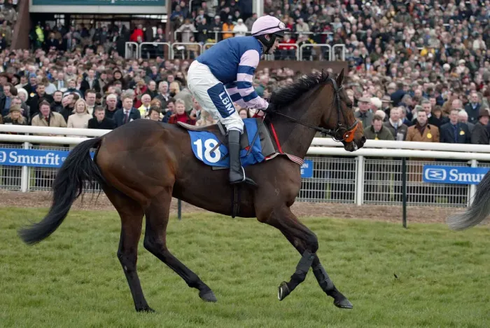 Framed Print : Stan Ridden By H.Oliver Cheltenham Festival 2005 Cheltenham Racecourse