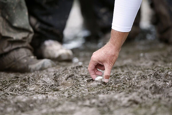 Steve Stricker Removes Ball From Mud After Tiger Woods Waywa