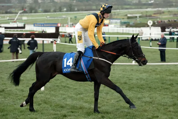 Framed Print : Sud Bleu Ridden By R.Walsh Cheltenham Festival 2004 Cheltenham Racecourse