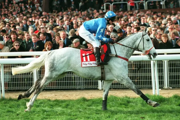 Framed Print : Suny Bay Ridden By Graham Bradley 29 March 1999 Date: 29 March 1999