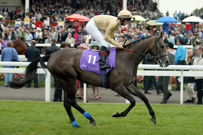 Framed Print : Tamarillo Ridden By T.E.Durcan St Leger Festival Doncaster Racecourse Framed Print : Tamarillo Ridden By T.E.Durcan St Leger Festival Doncaster Racecourse