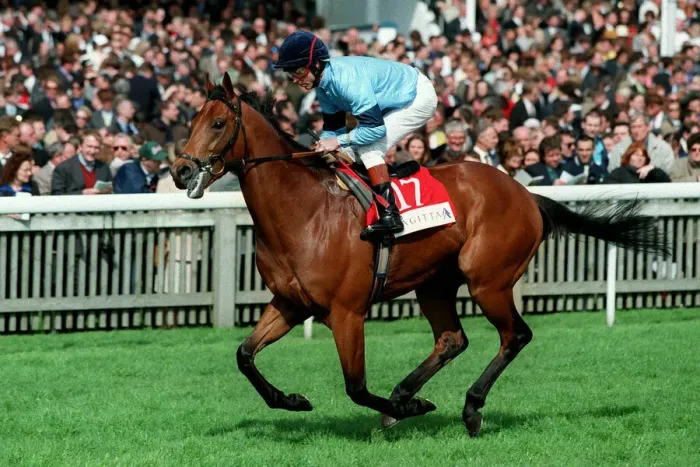 Framed Print : Tamarisk Ridden By J.Reid 05 May 1998 Date: 05 May 1998 Framed Print : Tamarisk Ridden By J.Reid 05 May 1998 Date: 05 May 1998