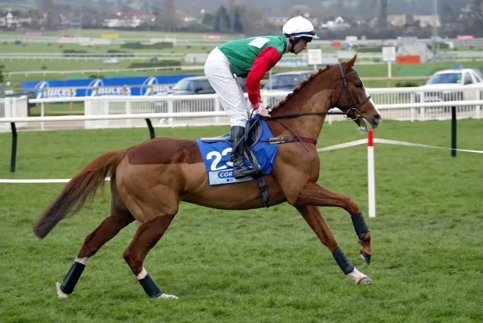 Framed Print : Taming Ridden By D.N.Russell Cheltenham Festival 2003 Cheltenham Racecourse Framed Print : Taming Ridden By D.N.Russell Cheltenham Festival 2003 Cheltenham Racecourse