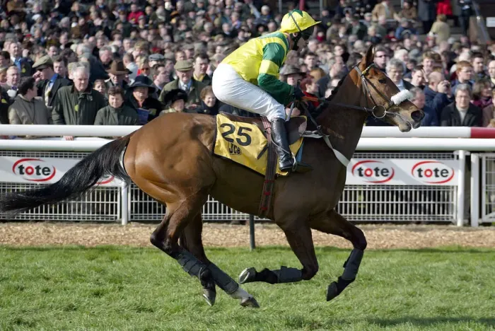 Framed Print : Tanikos Ridden By J.R.Kavanagh Cheltenham Festival 2003 Cheltenham Racecourse Framed Print : Tanikos Ridden By J.R.Kavanagh Cheltenham Festival 2003 Cheltenham Racecourse