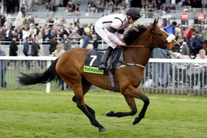 Framed Print : Tanzanite Ridden By Eddie Ahern The May Festival York The Knavesmire Framed Print : Tanzanite Ridden By Eddie Ahern The May Festival York The Knavesmire