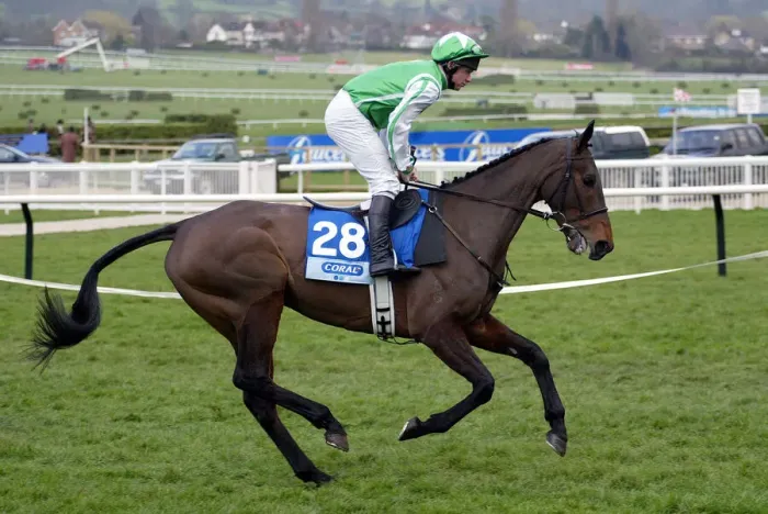 Framed Print : Tardar Ridden By L.Cooper Cheltenham Festival 2003 Cheltenham Racecourse Framed Print : Tardar Ridden By L.Cooper Cheltenham Festival 2003 Cheltenham Racecourse